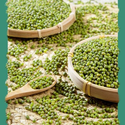 批发绿豆 绿豆熬粥新货现货供应五谷杂粮袋装绿豆图4
