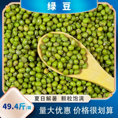 批发绿豆 绿豆熬粥新货现货供应五谷杂粮袋装绿豆图5