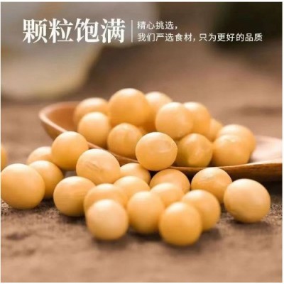 东北发豆芽的黄豆散装发黄豆芽豆黑龙江生豆牙小豆大黄豆图5