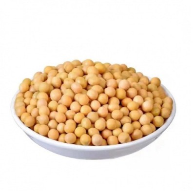 东北发豆芽的黄豆散装发黄豆芽豆黑龙江生豆牙小豆大黄豆图1
