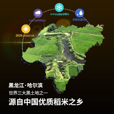 九色糙米2.5kg单层彩贴三五七色糙米五谷杂粮混合杂粗粮批发真空1图4