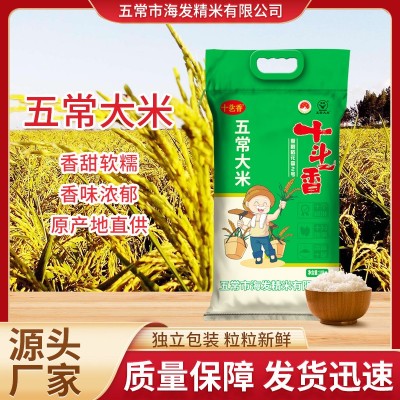 十乧香 五常大米批发产地直供香软可口 圆润饱满色泽晶莹入口软糯图1