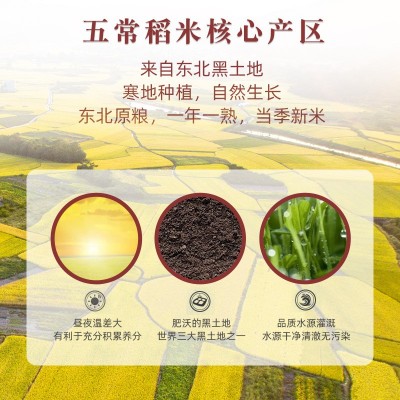 免浸泡七色糙米杂粮10斤五谷杂粮大米5斤真空米粗粮糙米饭早餐粥图2