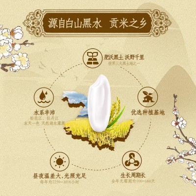 金龙鱼乳玉皇妃稻香贡米5kg*1袋正宗东北大米 粳米图3
