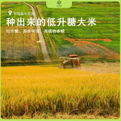 低gi大米控糖大米500g一袋真空包装米1斤健身孕妇食品礼盒批发图3