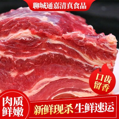 牛腩 新鲜冷冻牛肉原切牛腩新鲜现杀整切牛腩肉牛肉腿肉图1