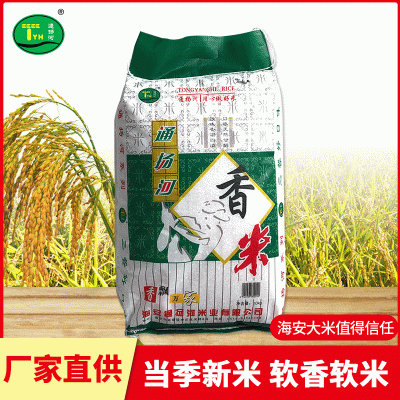 一级海安香米 口感软糯气味清香大米 厂家供应量大从优图3