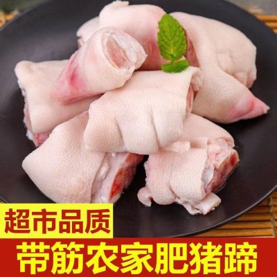 猪蹄块带筋带尖猪脚新鲜猪爪免切猪蹄块猪肉冷冻食品图3