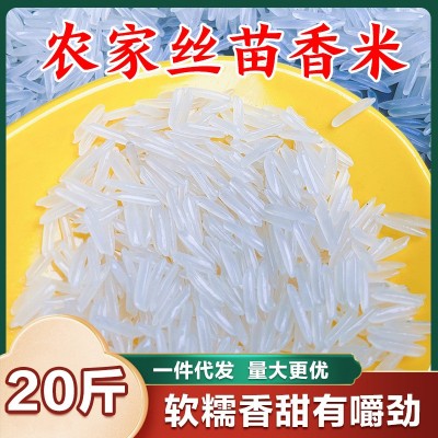 南方稻香米丝苗大米批发价大米 新鲜大米煮饭软糯长粒香大米图3