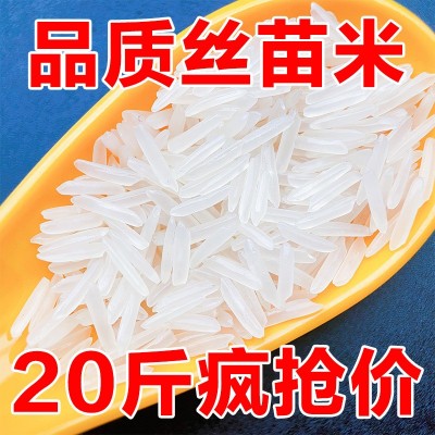 南方稻香米丝苗大米批发价大米 新鲜大米煮饭软糯长粒香大米