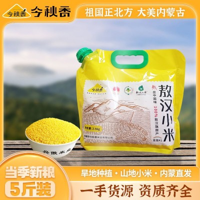 今秋香内蒙古赤峰敖汉小米5斤自立袋农家一类小米杂粮K1黄小米图1
