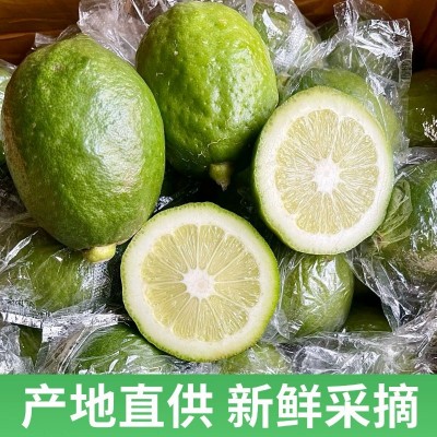 【产地直发】广东香水柠檬奶茶专用【一级】【次一级】样品两斤装图3