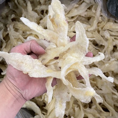 小龙胶条 白条一手货源批发白玉鱼胶120-150头 巴沙无齿芒鱼肚 50