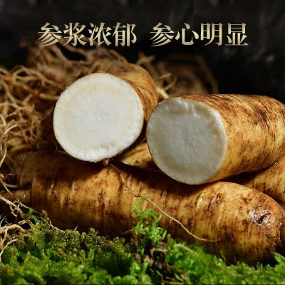 [包邮]长白山新鲜人参散装现挖带土圆参泡酒煲汤东北特产鲜参批发图4