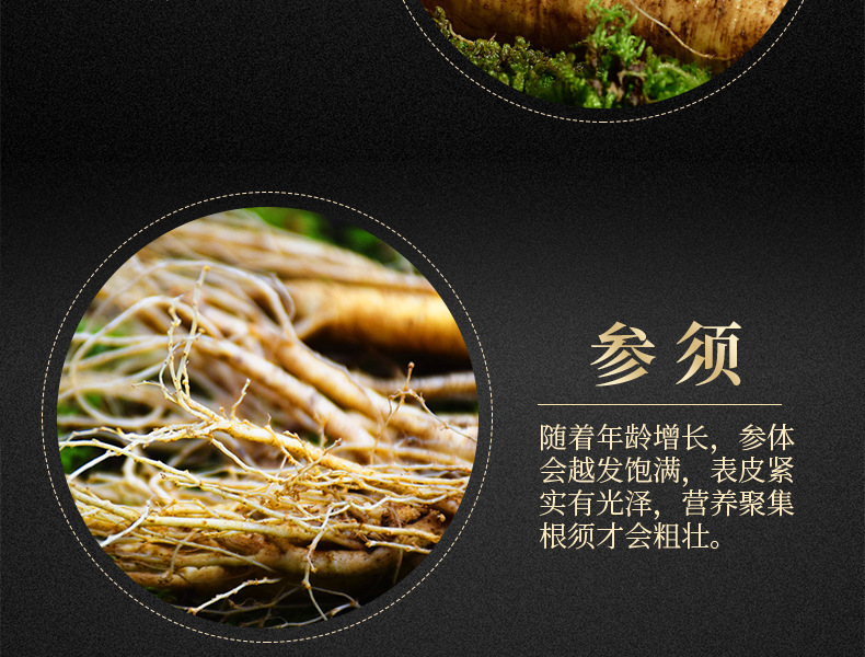 鲜参详情页_11.jpg