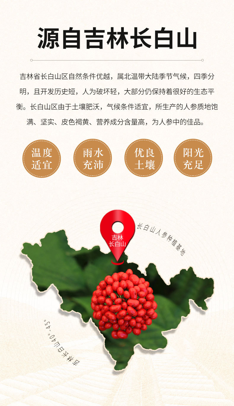 人参须_02.jpg