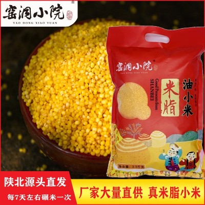 【窑洞小院】米脂黄小米5斤实惠装陕北农家小黄米 现碾现发新米