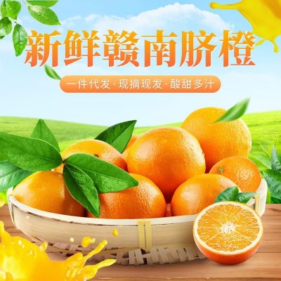 赣南脐橙新鲜维C水果批发应季VC精品礼盒5斤10斤礼盒装橙子批发图2