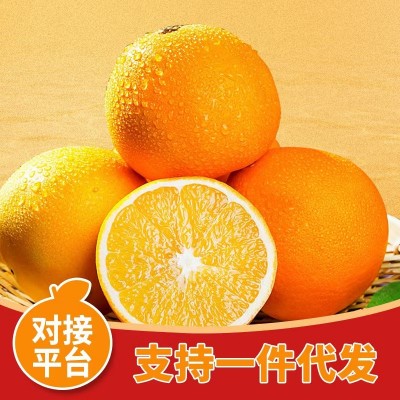 赣南脐橙新鲜维C水果批发应季VC精品礼盒5斤10斤礼盒装橙子批发图5