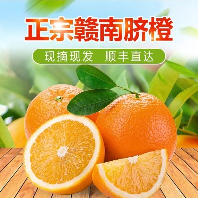 赣南脐橙新鲜维C水果批发应季VC精品礼盒5斤10斤礼盒装橙子批发图4