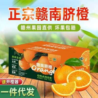 【赣州果园直供】正宗赣南脐橙应季新鲜薄皮橙子超市供应整箱批发图5