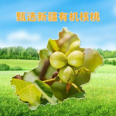 MONFIT 新疆有机核桃油一级压榨3斤 凉拌炒菜健康食用油量大优惠图3