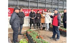 一把“红锄”耕沃土——内蒙古呼和浩特市农牧技术推广中心推动“党建+服务”融合