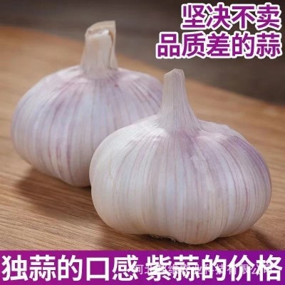 咨询 客服  手机 下单  采购车  商品 对比  意见 反馈          正宗图3