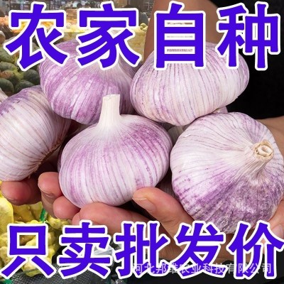 咨询 客服  手机 下单  采购车  商品 对比  意见 反馈          正宗图2