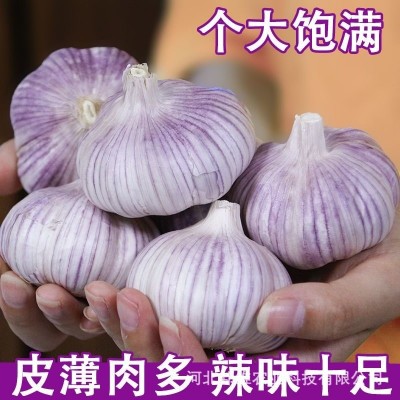 咨询 客服  手机 下单  采购车  商品 对比  意见 反馈          正宗图4
