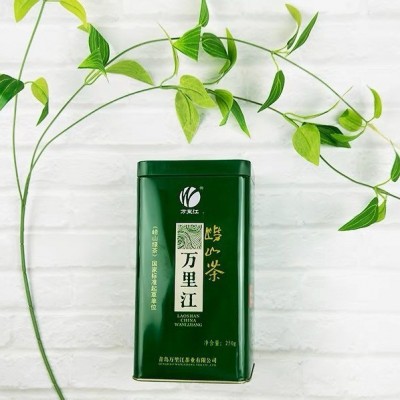 万里江新茶豌豆香浓郁崂山绿茶250g礼盒罐装青岛特产耐泡 崂山绿茶图2