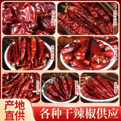 干辣椒500g 贵州二荆条满天星干辣椒 贵州灯笼椒 印度椒辣椒调料图1