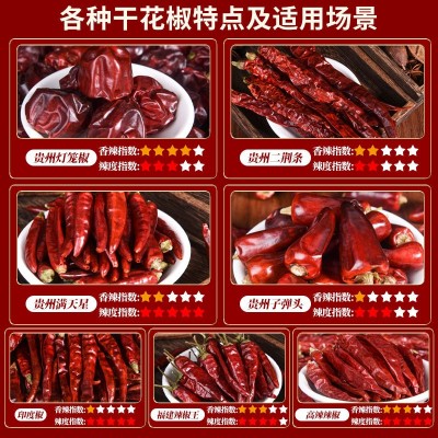 干辣椒500g 贵州二荆条满天星干辣椒 贵州灯笼椒 印度椒辣椒调料图3